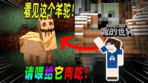 我的世界羊骆吃什么