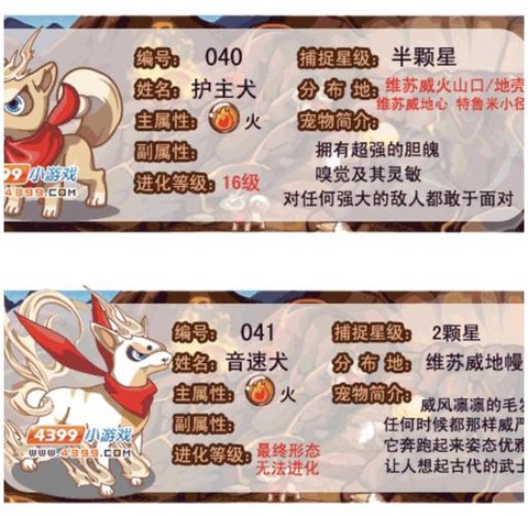 洛克王国怎么买装备