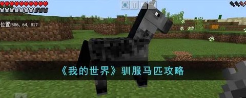 我的世界如何控制马[图1]