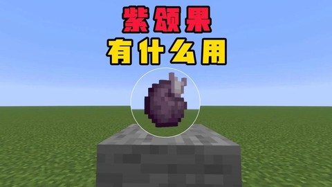 我的世界紫颂果怎么种